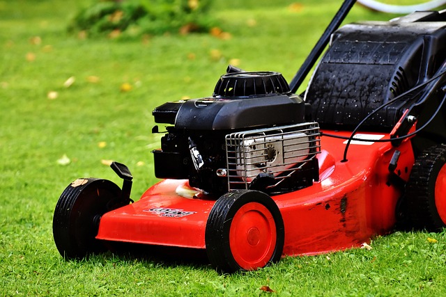 A mower from a loan.